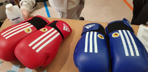 Boxhandschuhe