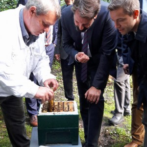 Besuch des Bienenlehrpfads