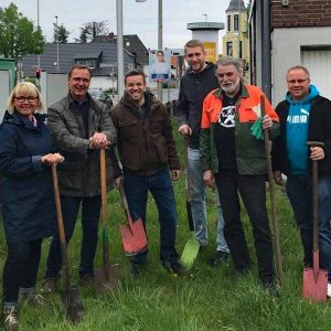 Anlegen der Wildblumenwiese