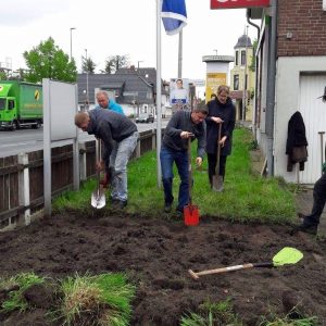 Anlegen der Wildblumenwiese