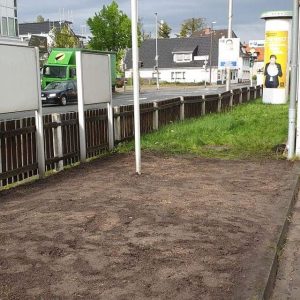 Anlegen der Wildblumenwiese